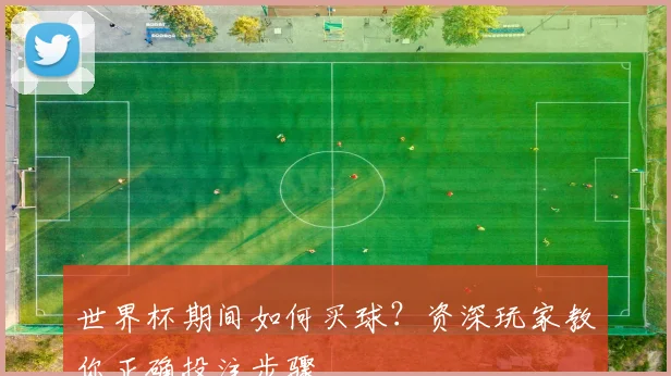世界杯期间如何买球？资深玩家教你正确投注步骤