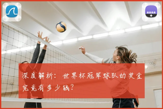 深度解析:世界杯冠军球队的奖金究竟有多少钱?