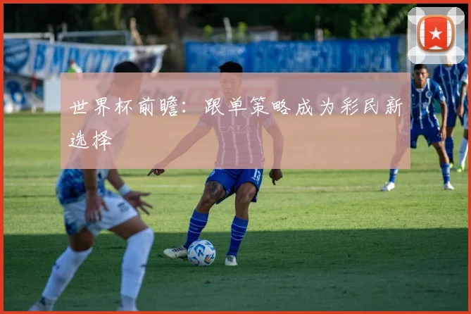 世界杯前瞻:跟单策略成为彩民新选择